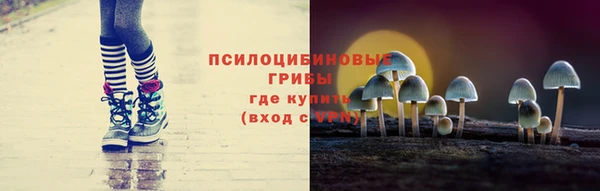 твердый Аркадак