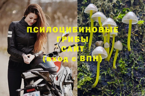 гашишное масло Каменногорск