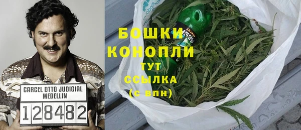 МДПВ Каменка