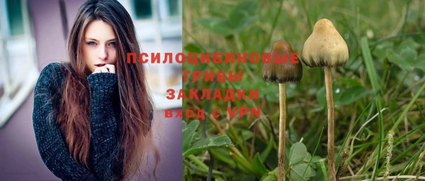твердый Аркадак