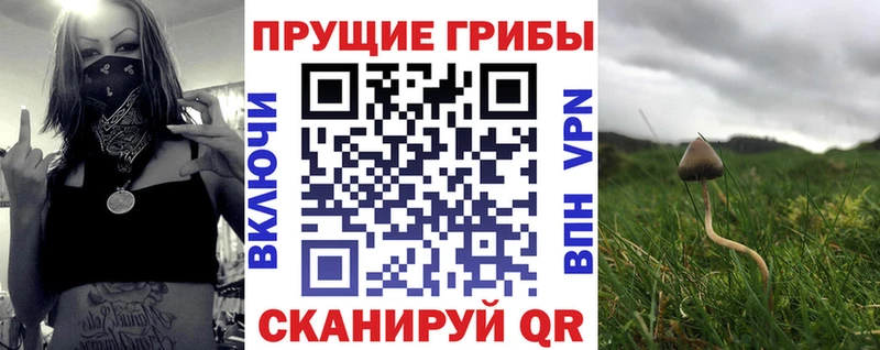 Галлюциногенные грибы мухоморы  цена наркотик  Сухой Лог 